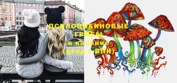 не бодяженный Белокуриха