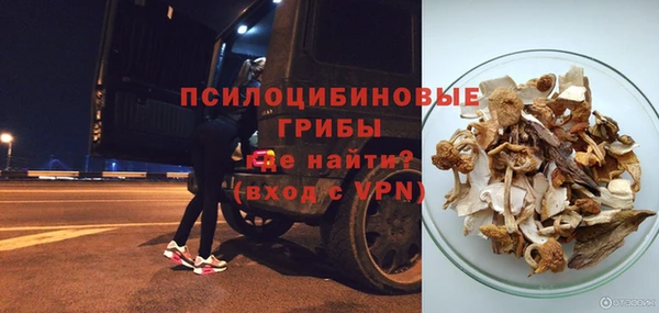 не бодяженный Белокуриха